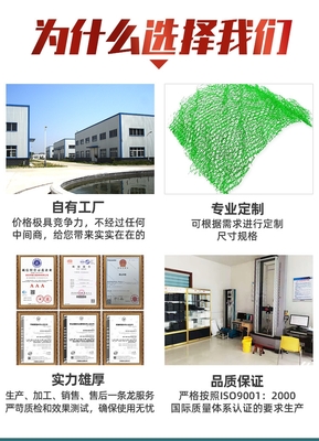 市政工程边坡防护用三维植被网-EM5