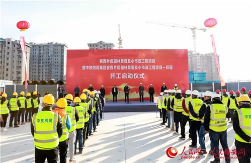 雄安容西的第一棵树,种在这里