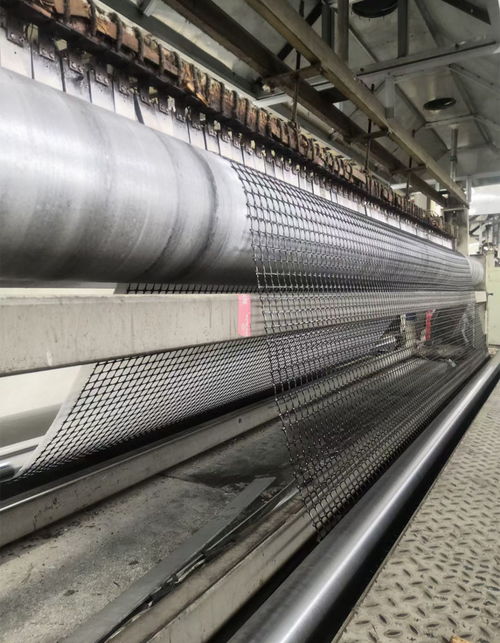 平顶山市政工程钢塑土工格栅 聚乙烯复合钢塑格栅