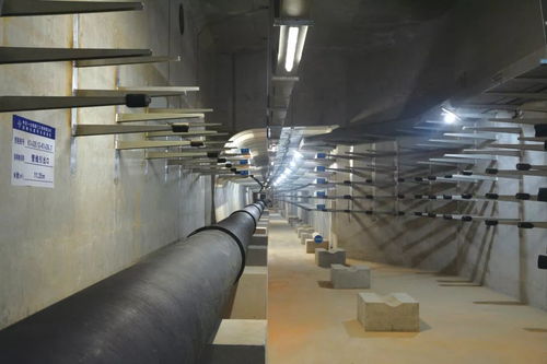 喜讯 公司四项目荣膺中国交建优质工程奖，彰显市政建设卓越实力